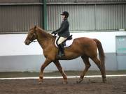 Image 246 in NEWTON HALL EQUITATION LTD. DRESSAGE. 12 JAN. 2019