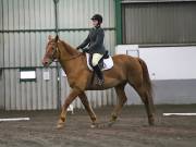 Image 248 in NEWTON HALL EQUITATION LTD. DRESSAGE. 12 JAN. 2019