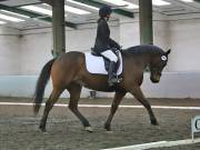 Image 255 in NEWTON HALL EQUITATION LTD. DRESSAGE. 12 JAN. 2019