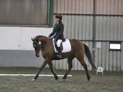 Image 258 in NEWTON HALL EQUITATION LTD. DRESSAGE. 12 JAN. 2019