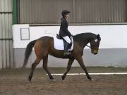 Image 264 in NEWTON HALL EQUITATION LTD. DRESSAGE. 12 JAN. 2019