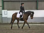 Image 266 in NEWTON HALL EQUITATION LTD. DRESSAGE. 12 JAN. 2019