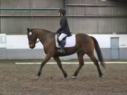 Image 267 in NEWTON HALL EQUITATION LTD. DRESSAGE. 12 JAN. 2019