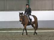 Image 268 in NEWTON HALL EQUITATION LTD. DRESSAGE. 12 JAN. 2019