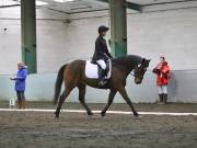 Image 269 in NEWTON HALL EQUITATION LTD. DRESSAGE. 12 JAN. 2019