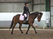 Image 270 in NEWTON HALL EQUITATION LTD. DRESSAGE. 12 JAN. 2019