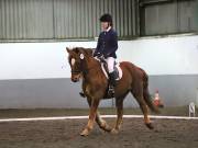 Image 274 in NEWTON HALL EQUITATION LTD. DRESSAGE. 12 JAN. 2019