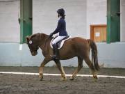 Image 278 in NEWTON HALL EQUITATION LTD. DRESSAGE. 12 JAN. 2019