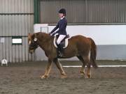 Image 279 in NEWTON HALL EQUITATION LTD. DRESSAGE. 12 JAN. 2019