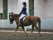 Image 280 in NEWTON HALL EQUITATION LTD. DRESSAGE. 12 JAN. 2019