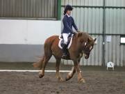 Image 281 in NEWTON HALL EQUITATION LTD. DRESSAGE. 12 JAN. 2019