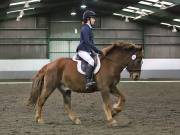 Image 285 in NEWTON HALL EQUITATION LTD. DRESSAGE. 12 JAN. 2019