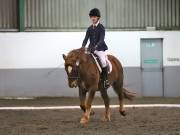 Image 292 in NEWTON HALL EQUITATION LTD. DRESSAGE. 12 JAN. 2019