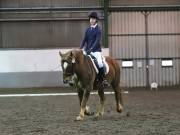 Image 293 in NEWTON HALL EQUITATION LTD. DRESSAGE. 12 JAN. 2019