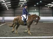 Image 294 in NEWTON HALL EQUITATION LTD. DRESSAGE. 12 JAN. 2019