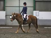 Image 296 in NEWTON HALL EQUITATION LTD. DRESSAGE. 12 JAN. 2019