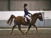 Image 297 in NEWTON HALL EQUITATION LTD. DRESSAGE. 12 JAN. 2019