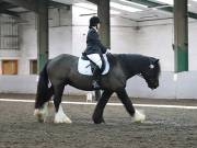 Image 33 in NEWTON HALL EQUITATION LTD. DRESSAGE. 12 JAN. 2019