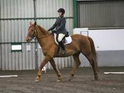 Image 4 in NEWTON HALL EQUITATION LTD. DRESSAGE. 12 JAN. 2019