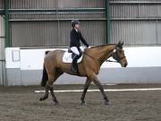 Image 43 in NEWTON HALL EQUITATION LTD. DRESSAGE. 12 JAN. 2019