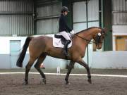 Image 44 in NEWTON HALL EQUITATION LTD. DRESSAGE. 12 JAN. 2019