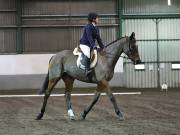 Image 5 in NEWTON HALL EQUITATION LTD. DRESSAGE. 12 JAN. 2019