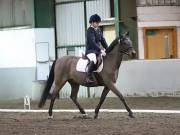 Image 50 in NEWTON HALL EQUITATION LTD. DRESSAGE. 12 JAN. 2019