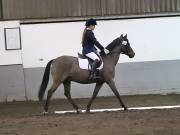 Image 54 in NEWTON HALL EQUITATION LTD. DRESSAGE. 12 JAN. 2019