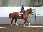 Image 60 in NEWTON HALL EQUITATION LTD. DRESSAGE. 12 JAN. 2019