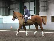 Image 62 in NEWTON HALL EQUITATION LTD. DRESSAGE. 12 JAN. 2019