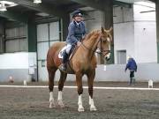 Image 63 in NEWTON HALL EQUITATION LTD. DRESSAGE. 12 JAN. 2019