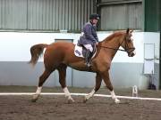 Image 67 in NEWTON HALL EQUITATION LTD. DRESSAGE. 12 JAN. 2019