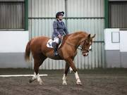 Image 68 in NEWTON HALL EQUITATION LTD. DRESSAGE. 12 JAN. 2019