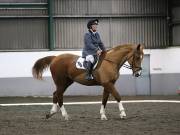 Image 69 in NEWTON HALL EQUITATION LTD. DRESSAGE. 12 JAN. 2019