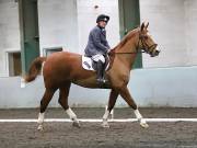 Image 71 in NEWTON HALL EQUITATION LTD. DRESSAGE. 12 JAN. 2019