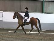 Image 9 in NEWTON HALL EQUITATION LTD. DRESSAGE. 12 JAN. 2019