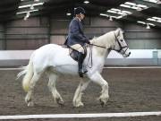 Image 92 in NEWTON HALL EQUITATION LTD. DRESSAGE. 12 JAN. 2019