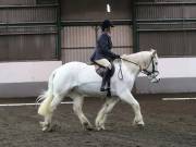 Image 93 in NEWTON HALL EQUITATION LTD. DRESSAGE. 12 JAN. 2019