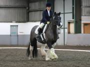 Image 97 in NEWTON HALL EQUITATION LTD. DRESSAGE. 12 JAN. 2019