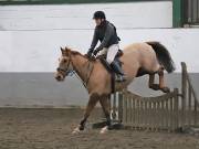 Image 100 in NEWTON HALL EQUITATION. ARENA EVENTING. 9. FEB. 2019