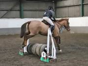 Image 102 in NEWTON HALL EQUITATION. ARENA EVENTING. 9. FEB. 2019