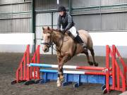 Image 104 in NEWTON HALL EQUITATION. ARENA EVENTING. 9. FEB. 2019