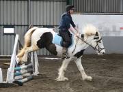 Image 14 in NEWTON HALL EQUITATION. ARENA EVENTING. 9. FEB. 2019