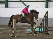 Image 21 in NEWTON HALL EQUITATION. ARENA EVENTING. 9. FEB. 2019
