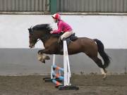 Image 22 in NEWTON HALL EQUITATION. ARENA EVENTING. 9. FEB. 2019