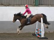 Image 24 in NEWTON HALL EQUITATION. ARENA EVENTING. 9. FEB. 2019