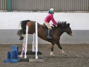 Image 26 in NEWTON HALL EQUITATION. ARENA EVENTING. 9. FEB. 2019