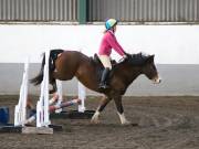 Image 3 in NEWTON HALL EQUITATION. ARENA EVENTING. 9. FEB. 2019