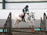 Image 35 in NEWTON HALL EQUITATION. ARENA EVENTING. 9. FEB. 2019