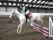 Image 36 in NEWTON HALL EQUITATION. ARENA EVENTING. 9. FEB. 2019